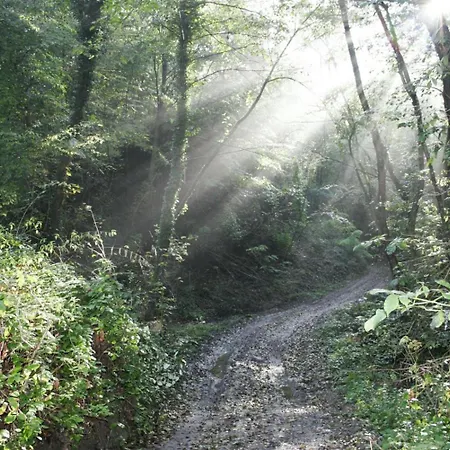 Hétvégi ház Le Selve